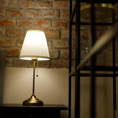 Stylish Flat In The Heart Of Historical Center Temeşvar