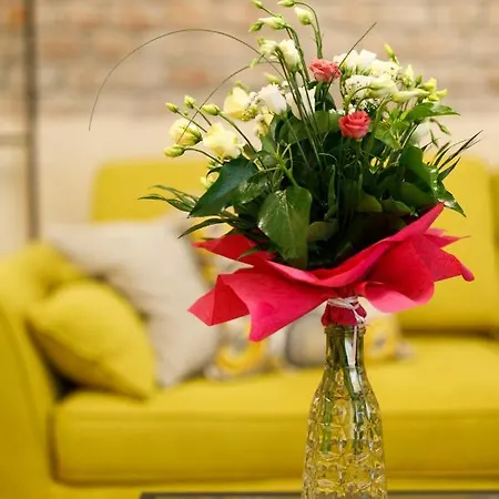 Apartment Stylish Flat In The Heart Of Historical Center Timisoara
