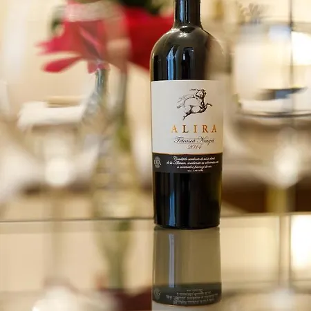 Appartement Stylish Flat In The Heart Of Historical Center Timişoara