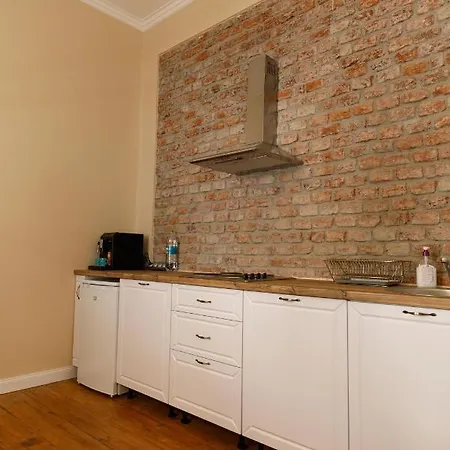 Stylish Flat In The Heart Of Historical Center Timisoara
